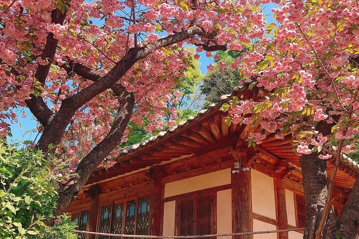 Full Day Tour in Seosan Gaesimsa, Munsusa and Suwon Hwaseong - Photo 1 of 6